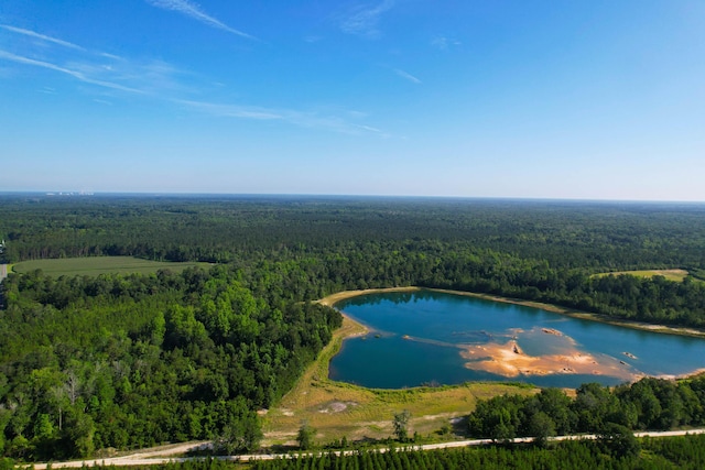 1 Beidler Forest Rd, Dorchester, SC 29437