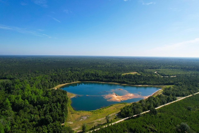 1 Beidler Forest Rd, Dorchester, SC 29437