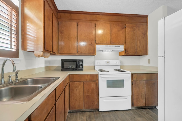 kitchen featuring light countertops, brown cabinetry, a sink, white appliances, and under cabinet range hood