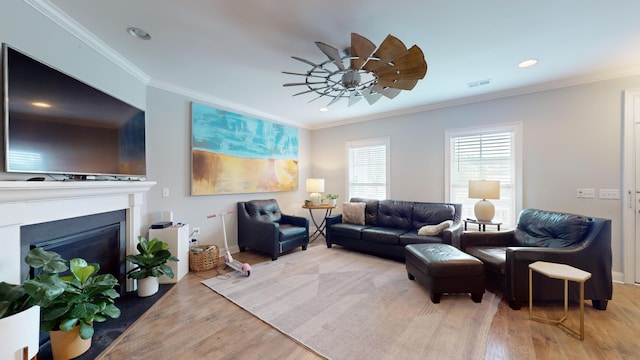 living room featuring crown molding, ceiling fan, and light wood-type flooring