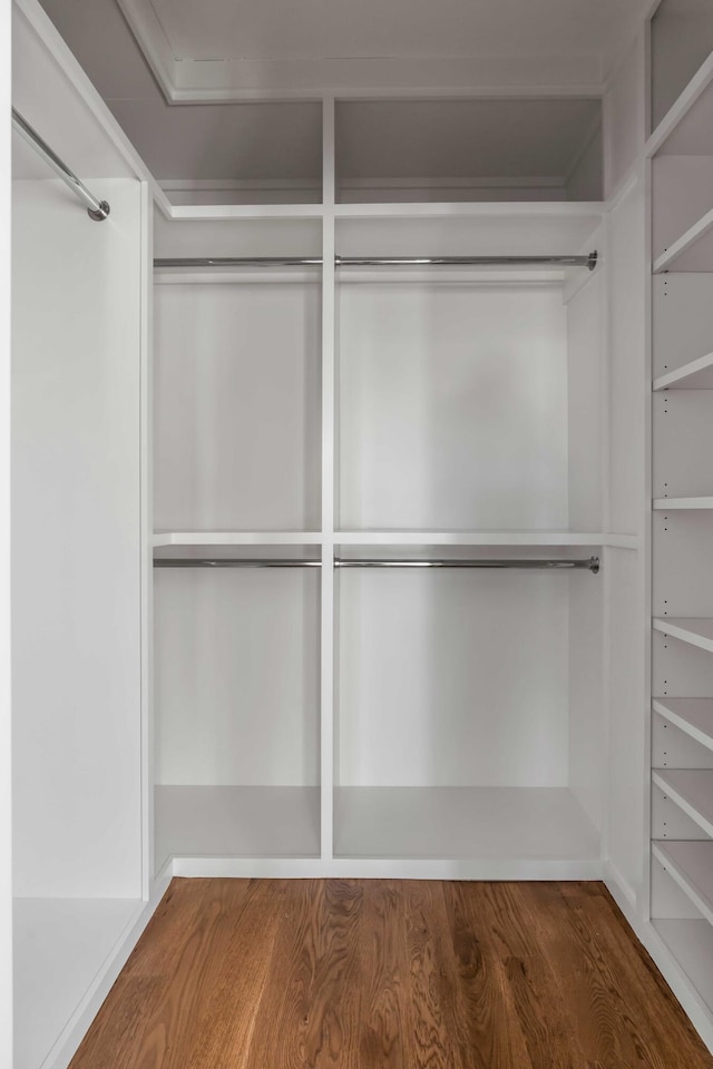 spacious closet featuring hardwood / wood-style flooring