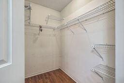 spacious closet with wood finished floors