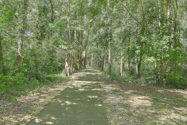 view of road with a forest view