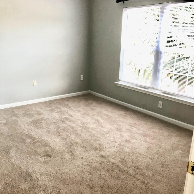 spare room featuring carpet