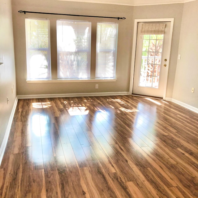 empty room with dark hardwood / wood-style floors