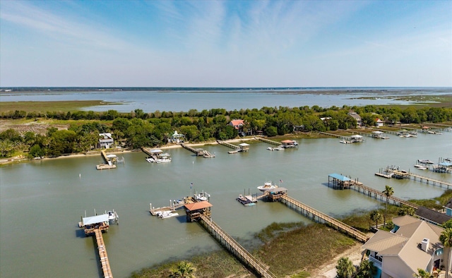 2619 Buccaneer Rd, Isle Of Palms, SC 29451 - aerial view of a large body of water