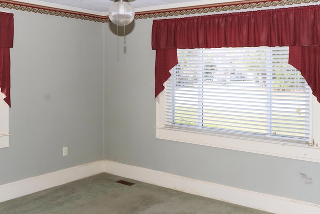 5286 Cameron Rd, Cameron, SC 29030 - spare room featuring ceiling fan, ornamental molding, visible vents, carpet flooring, and baseboards