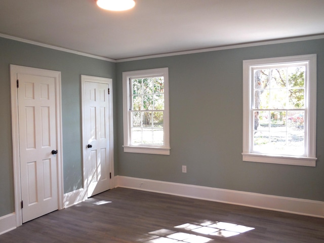 spare room featuring dark wood-type flooring, ornamental molding, and plenty of natural light