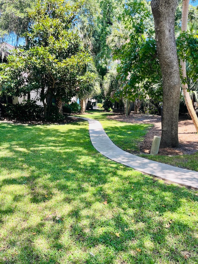 view of community featuring a lawn