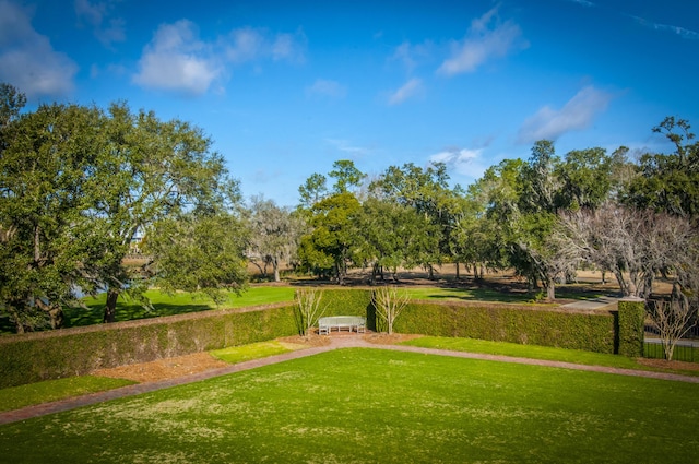 view of property's community featuring a yard