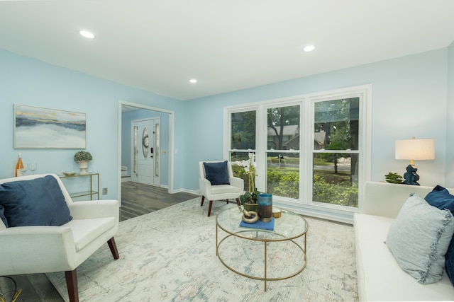 living room with wood-type flooring