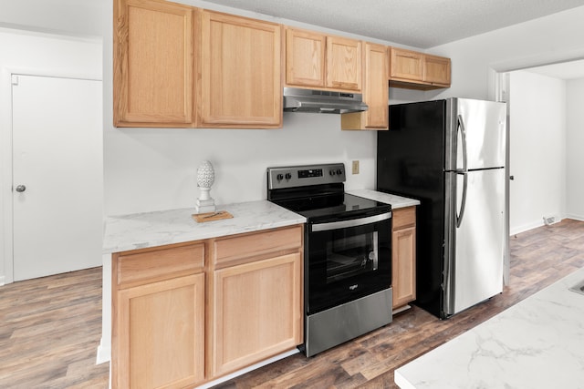 kitchen with light brown cabinets, stainless steel appliances, and dark hardwood / wood-style flooring