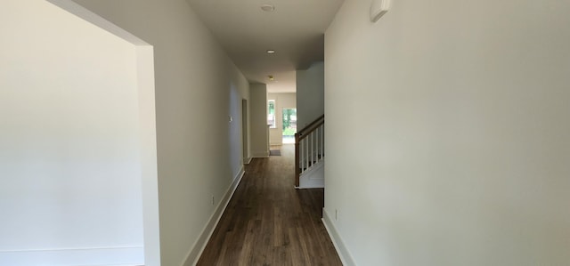 110 Saluda Dr, Santee, SC 29142 - hall with wood finished floors and baseboards