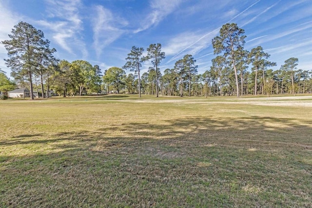 110 Saluda Dr, Santee, SC 29142 - surrounding community with a lawn
