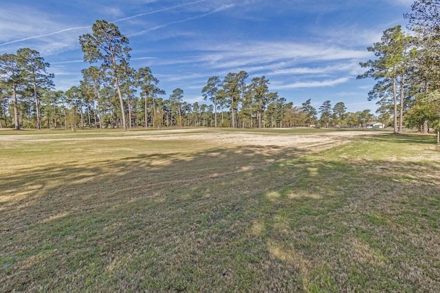 110 Saluda Dr, Santee, SC 29142 - view of grassy yard