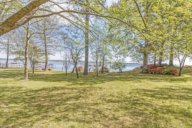 110 Saluda Dr, Santee, SC 29142 - view of green lawn with a water view