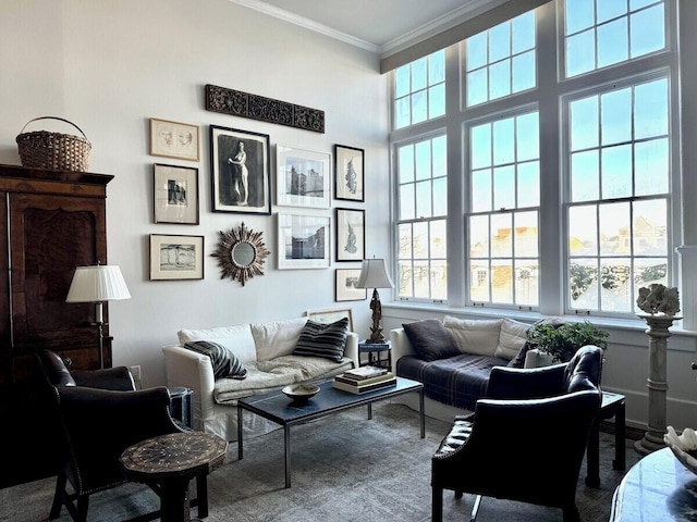 living room featuring ornamental molding, carpet flooring, and a high ceiling