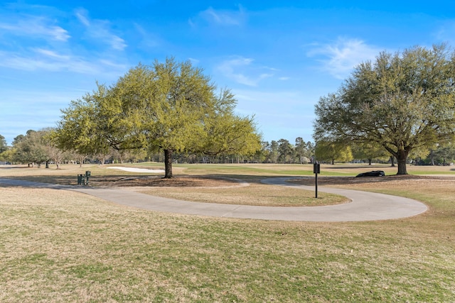 view of property's community featuring a yard