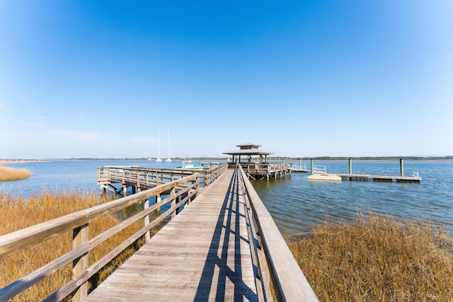 dock area with a water view