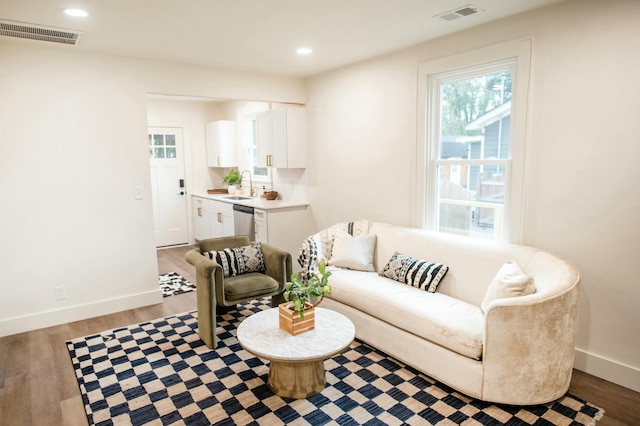 living room featuring wood-type flooring and sink