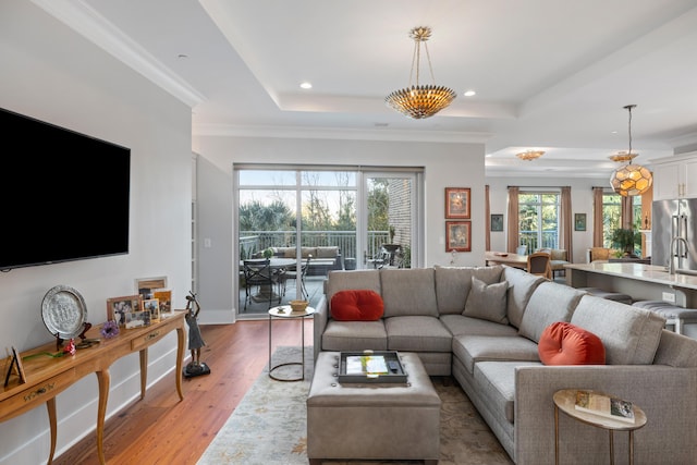 living room with a raised ceiling, ornamental molding, and light hardwood / wood-style flooring