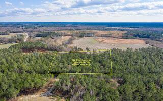 122 Deer Run Ave, Andrews, SC 29510