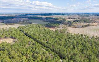 122 Deer Run Ave, Andrews, SC 29510