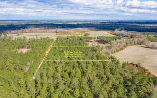 122 Deer Run Ave, Andrews, SC 29510