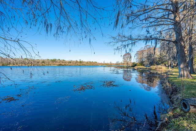 property view of water