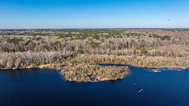 birds eye view of property featuring a water view and a view of trees