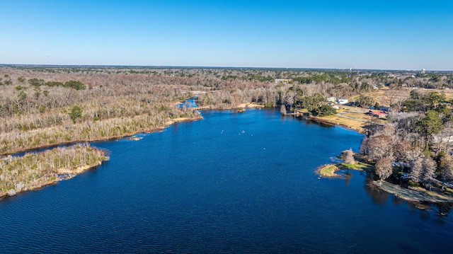 bird's eye view with a water view and a wooded view