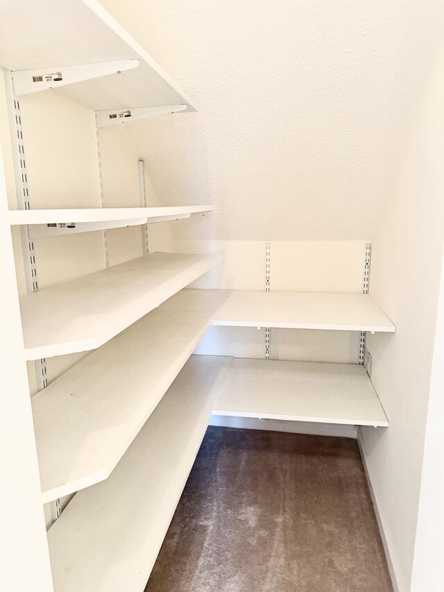 209 Myrtlewood Dr, Santee, SC 29142 - view of pantry