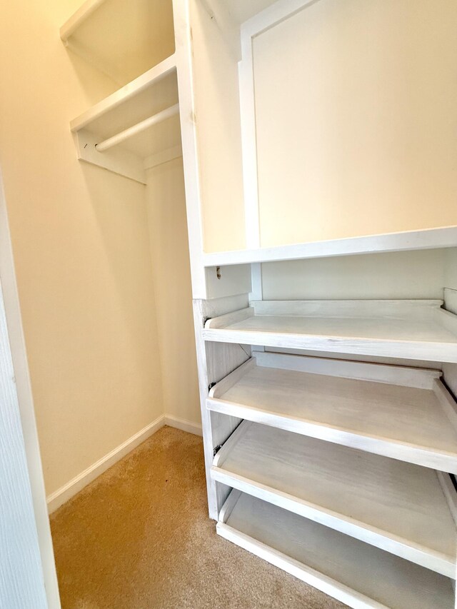209 Myrtlewood Dr, Santee, SC 29142 - spacious closet with carpet flooring