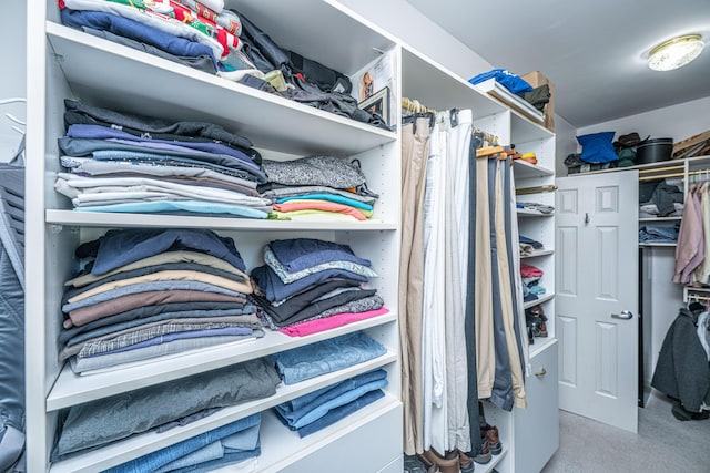view of walk in closet