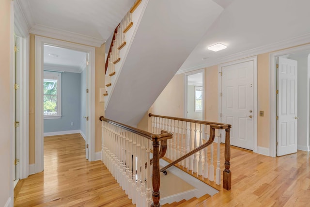 stairway with hardwood / wood-style flooring and crown molding