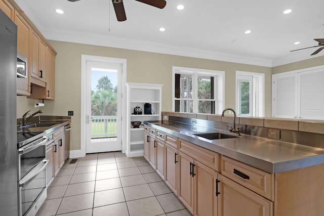 kitchen with ornamental molding, sink, ceiling fan, and stainless steel appliances