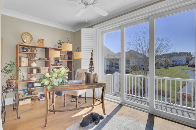 345 Turnstone St, Mount Pleasant, SC 29464 - office featuring ornamental molding, wood finished floors, and a ceiling fan