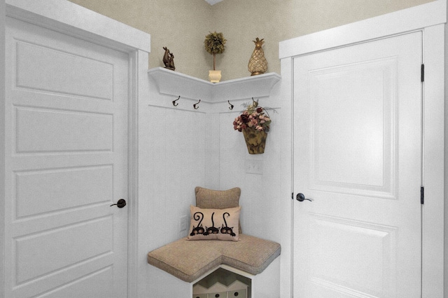 345 Turnstone St, Mount Pleasant, SC 29464 - view of mudroom