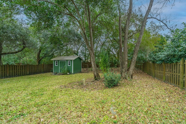 view of yard featuring a shed