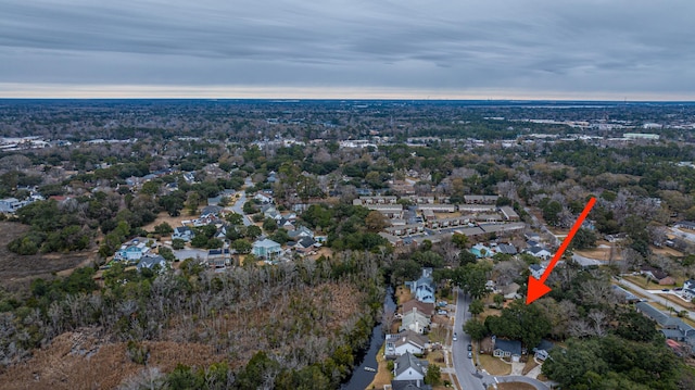 bird's eye view