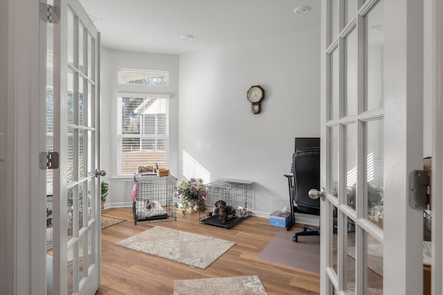 office space featuring french doors and hardwood / wood-style floors