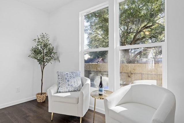 sitting room with dark hardwood / wood-style floors