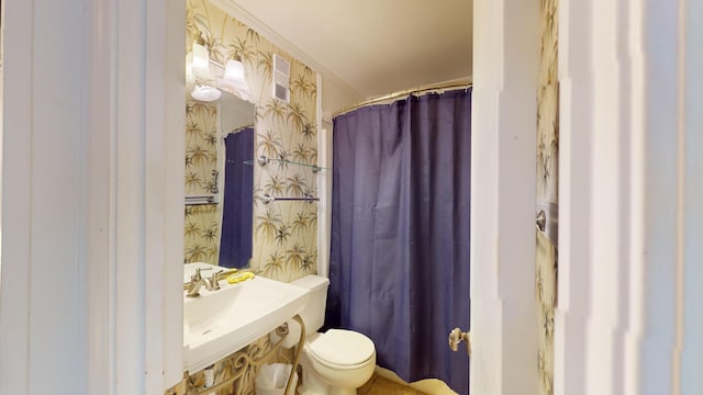 bathroom with sink and toilet