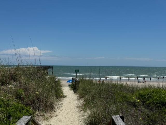 view of water feature with a beach view