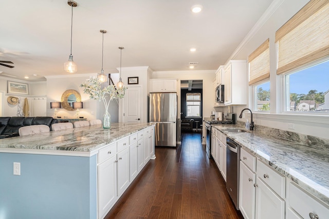 121 Cherry Grv, Summerville, SC 29483 - kitchen featuring stainless steel appliances, a sink, open floor plan, dark wood-type flooring, and crown molding
