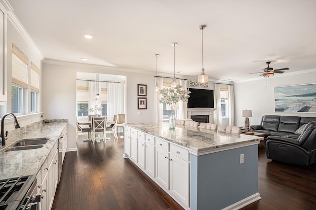 121 Cherry Grv, Summerville, SC 29483 - kitchen with a sink, a fireplace, white cabinetry, dark wood finished floors, and ornamental molding