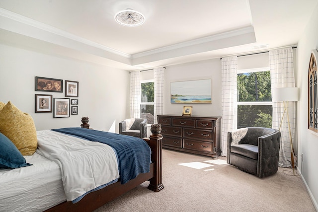 121 Cherry Grv, Summerville, SC 29483 - bedroom featuring a raised ceiling, light colored carpet, crown molding, and baseboards