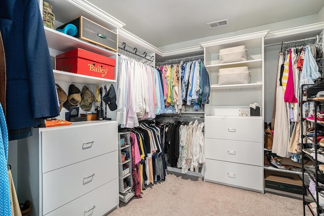 121 Cherry Grv, Summerville, SC 29483 - spacious closet with carpet flooring
