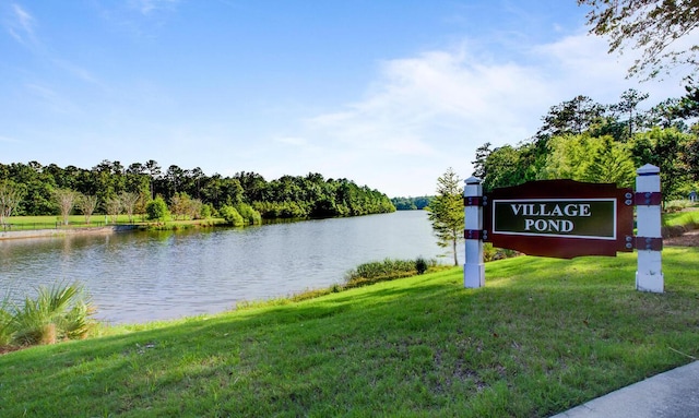 121 Cherry Grv, Summerville, SC 29483 - water view