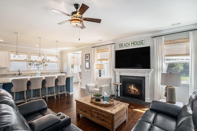 121 Cherry Grv, Summerville, SC 29483 - living area featuring crown molding, dark wood-style floors, a fireplace with flush hearth, ceiling fan, and plenty of natural light